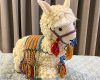 i-have-prepared-the-best-basic-information-i-need-to-make-the-amigurumi-35-free-ideas-must-see-new-new-2019