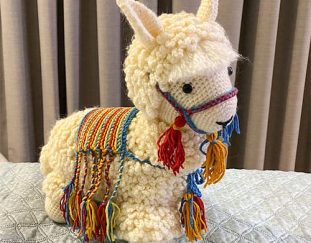 i-have-prepared-the-best-basic-information-i-need-to-make-the-amigurumi-35-free-ideas-must-see-new-new-2019